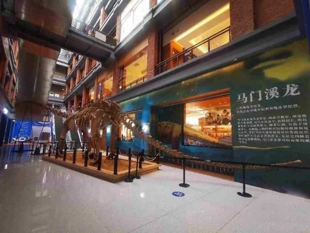 仿真恐龙展览、小菜园、音乐会——书店的新经营模式