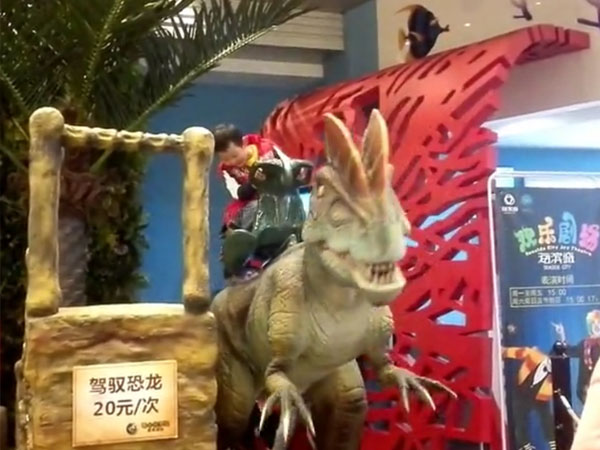 购物中心小龙骑